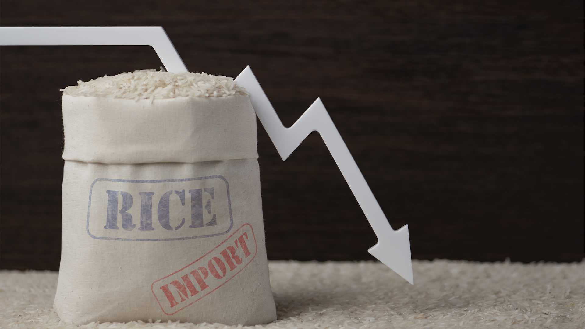 Global rice prices drop as India resumes non-basmati white rice exports