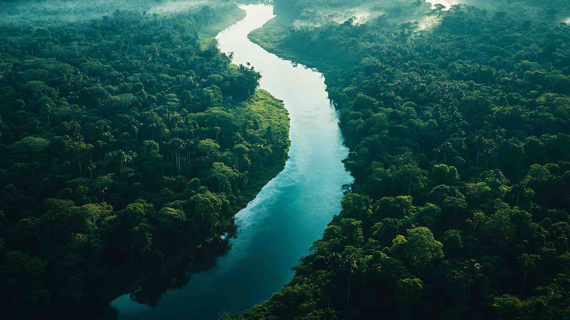 Amazon's Negro River reaches lowest recorded level due to drought