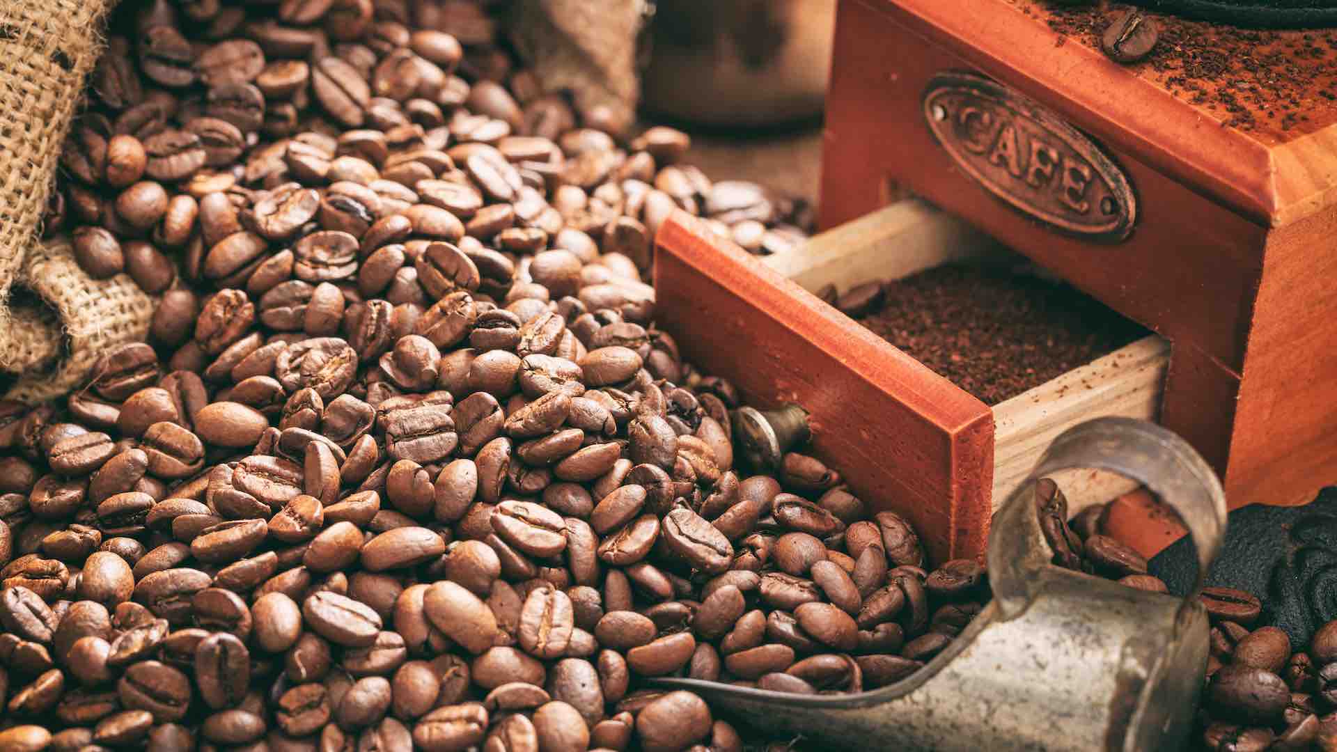 Brazil and Vietnam supply 58% of EU’s coffee imports in 2023