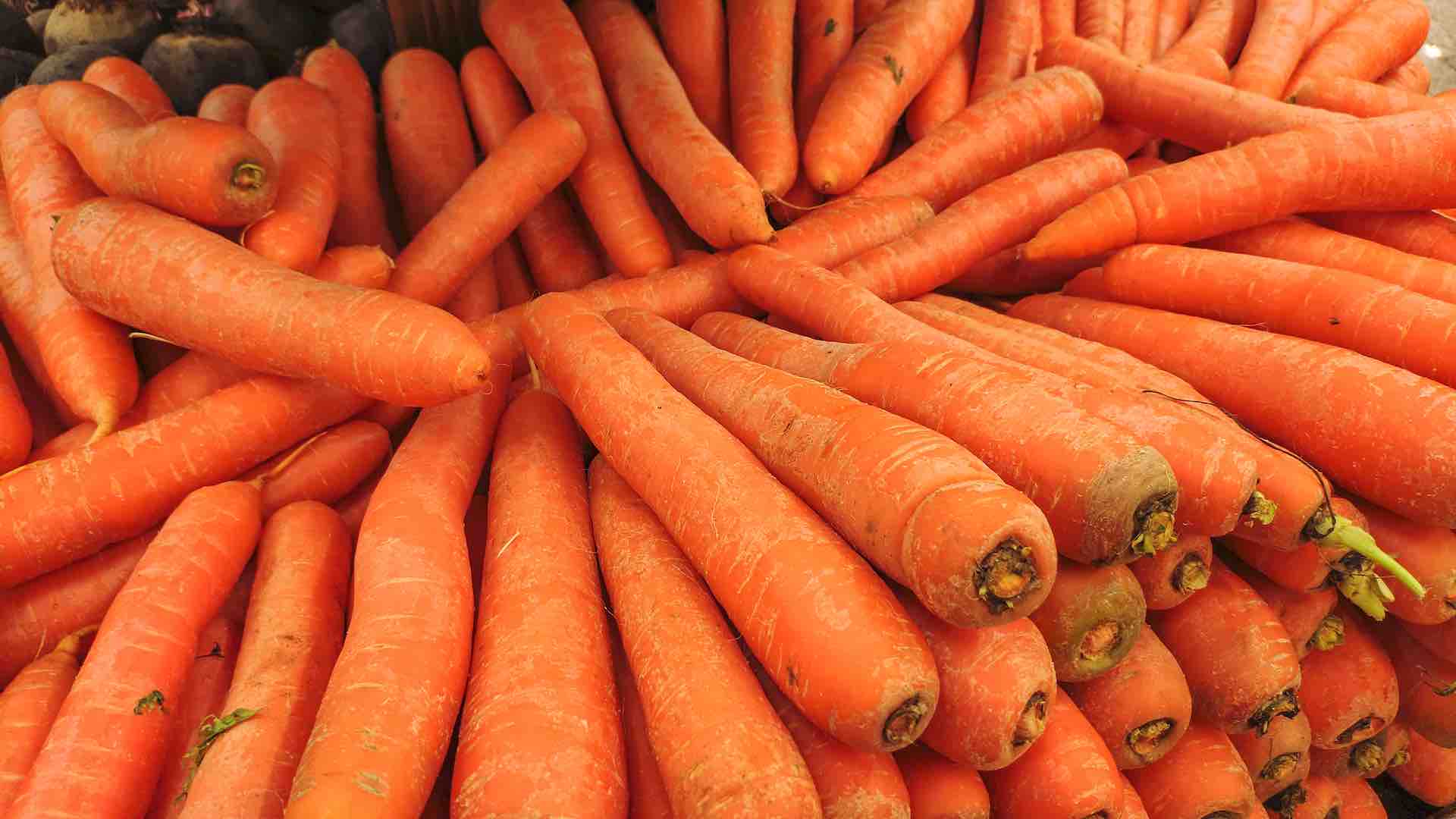 E. coli outbreak linked to recalled carrots kills one, CDC confirm