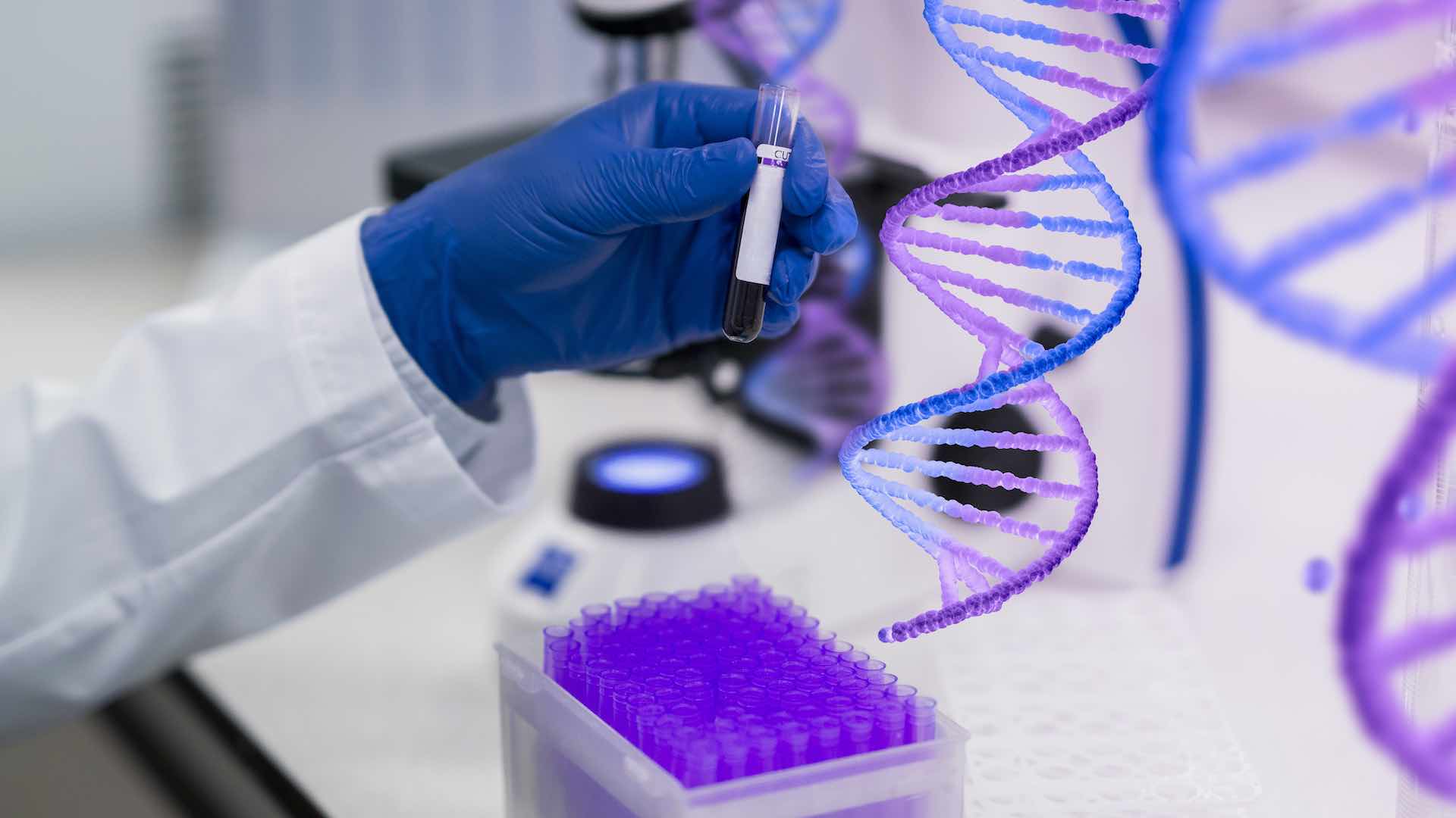 New UAE mandate enforces genetic testing for Emiratis before marriage