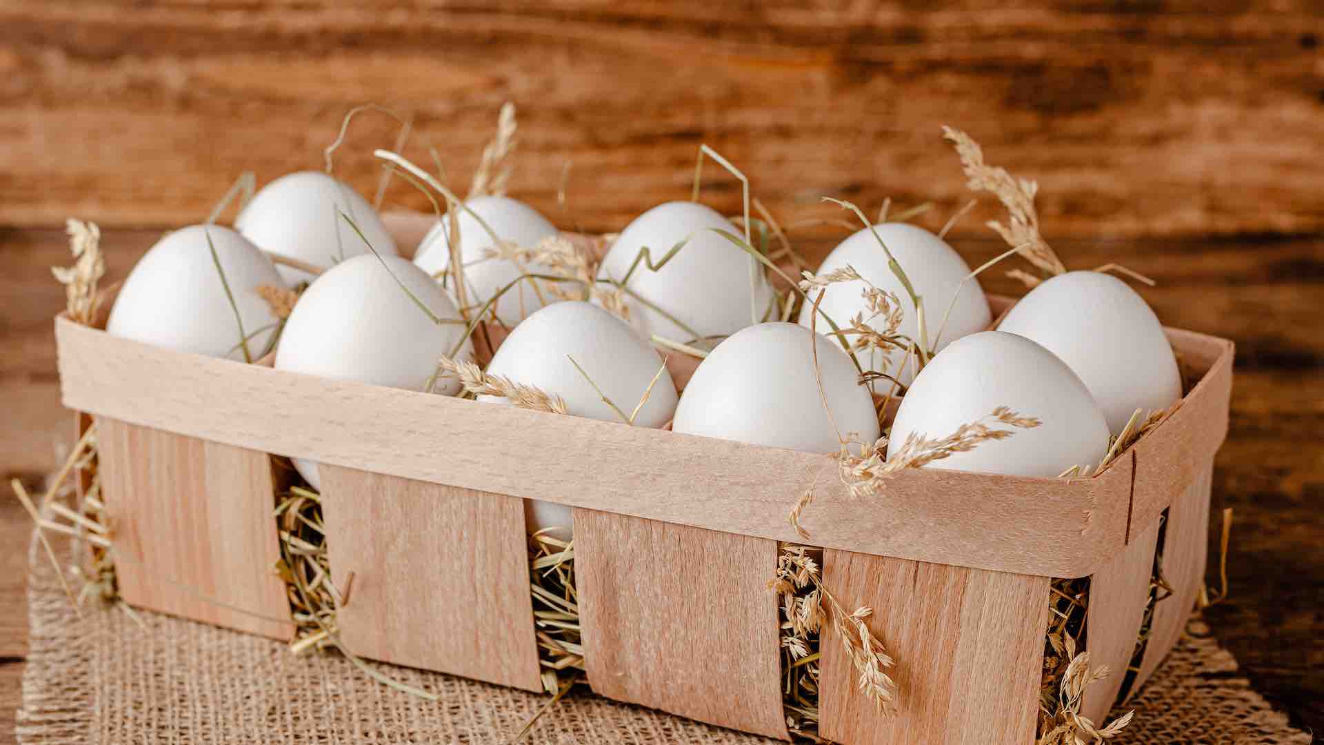 Egg prices remain volatile as supply struggles with avian flu impacts